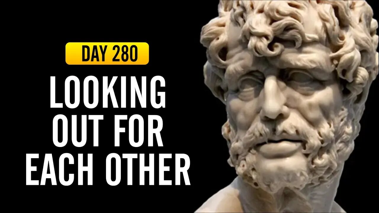 Looking Out for Each Other - DAY 280 - The Daily Stoic 365 Day Devotional