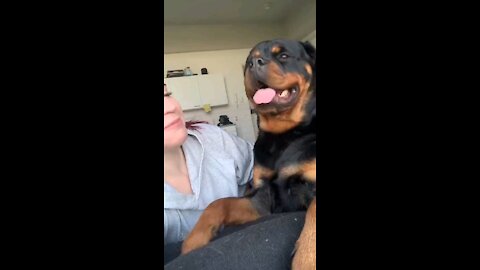 funny video tiktok 2