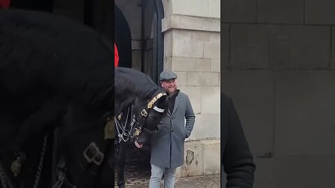 Horse bites him but he shows respect #thekingsguard