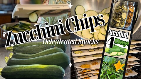 Sweet and Savory Dehydrated Zucchini Chips, the perfect snack! #zucchini4days