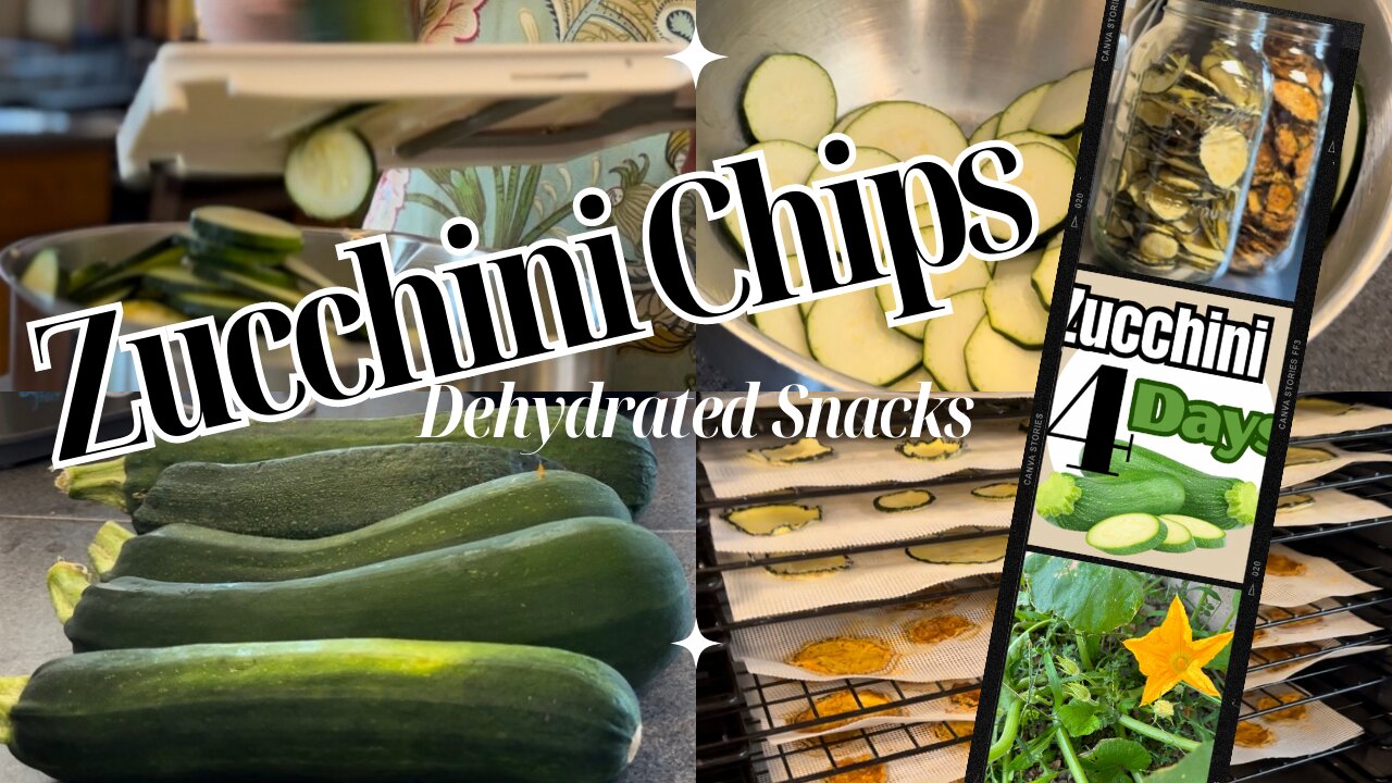 Sweet and Savory Dehydrated Zucchini Chips, the perfect snack! #zucchini4days