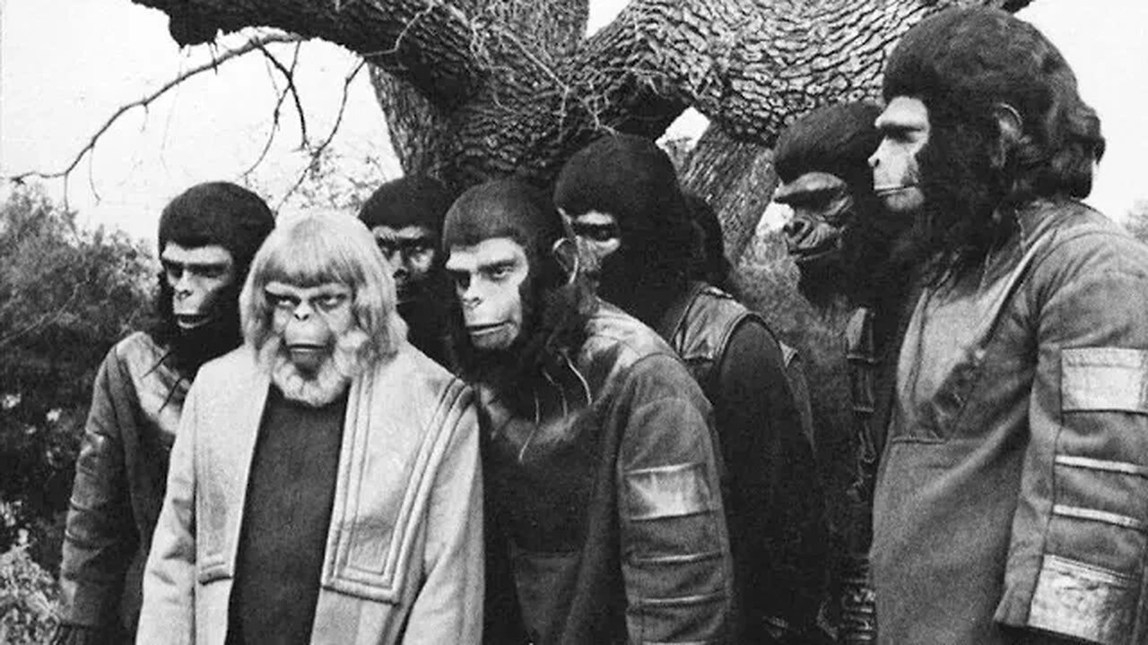 THE JEDI PODCAST #86 : MONDAY IS MONDAY AND MORE...