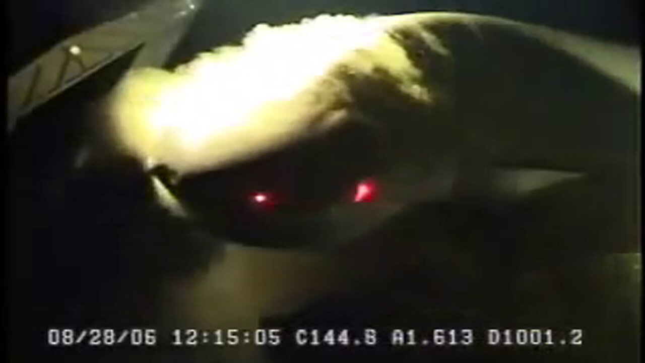 Rare Massive Shark Caught at the Bottom of the Ocean on Camera 2023 - CR News