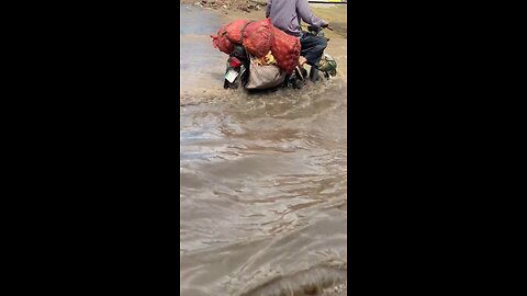 The Flood in Pakistan