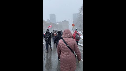 Toronto protest December 18 #4