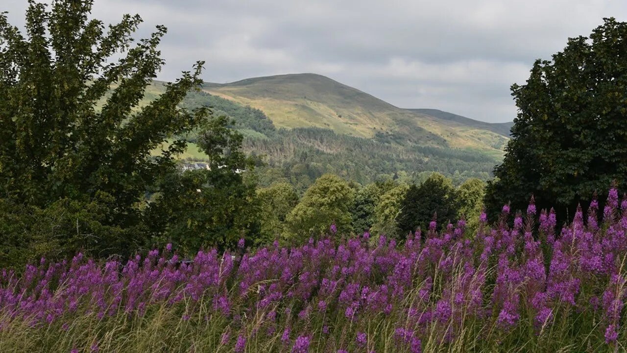 A Bit of Highland Madness