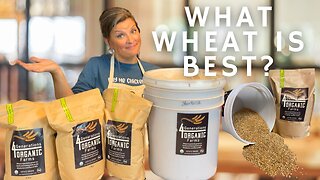 Are all wheats the same? What is the difference between wheats? | Bake With Me | Product Review