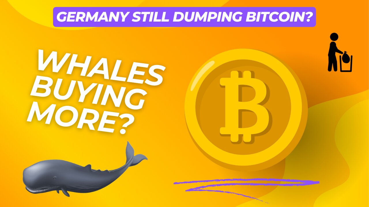 Germany STILL Dumping Bitcoin? Whales Continue To BUY!