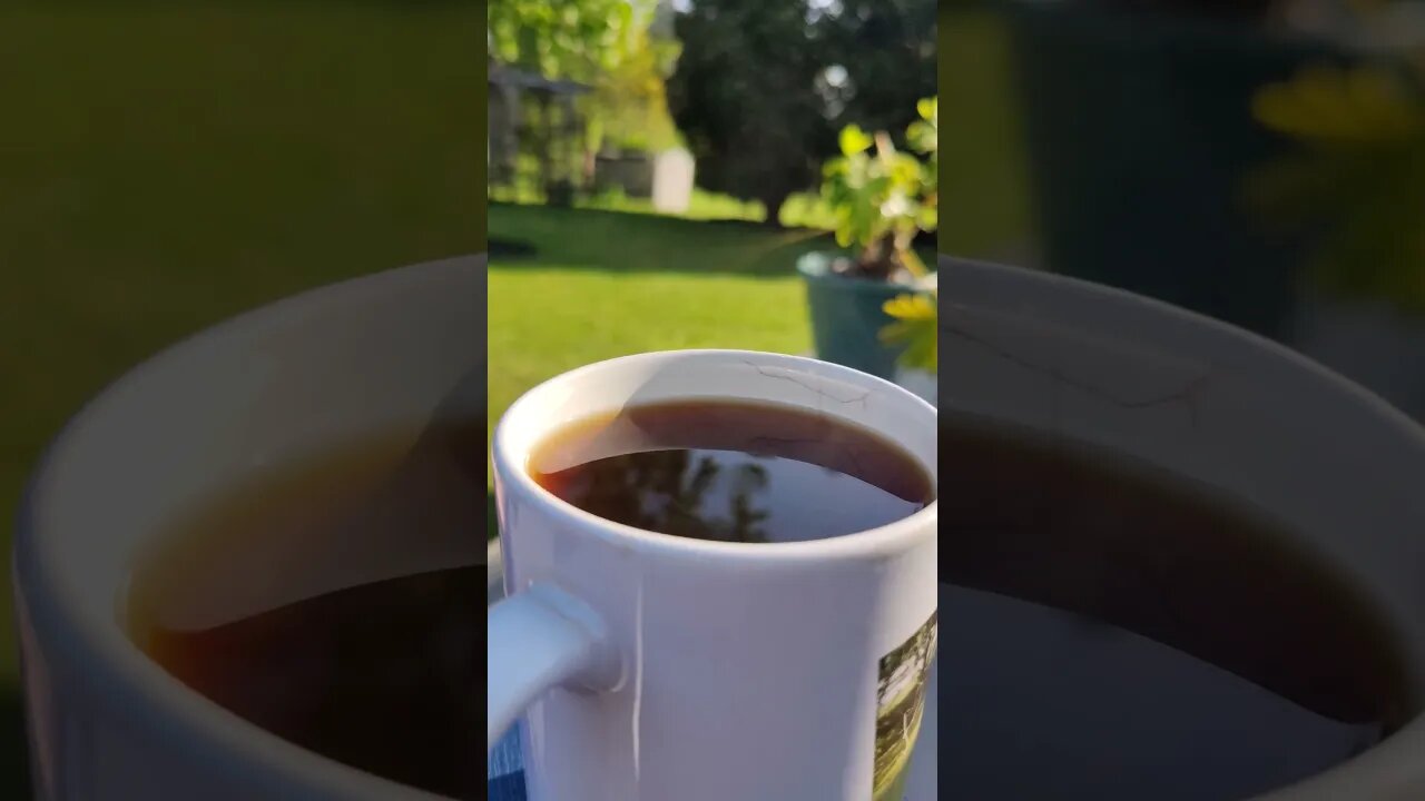 morning coffee on the deck....
