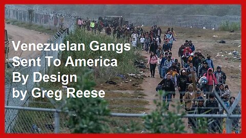 Venezuelan Gangs Sent To America By Design by Greg Reese