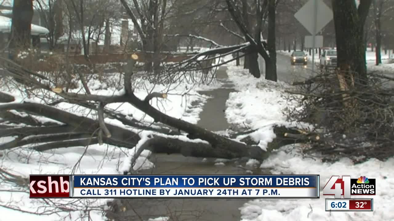 KCMO to implement service to pick up tree branches