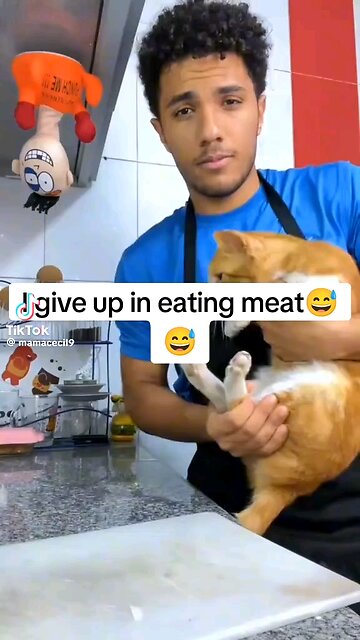 Hilarious Cat and Man Shenanigans!