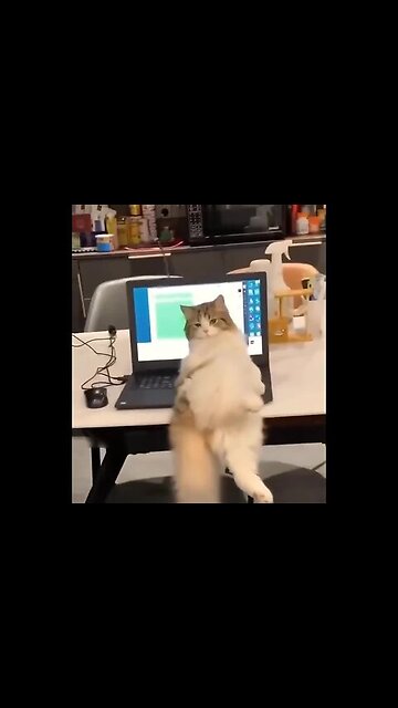 Attention, you are being seduced