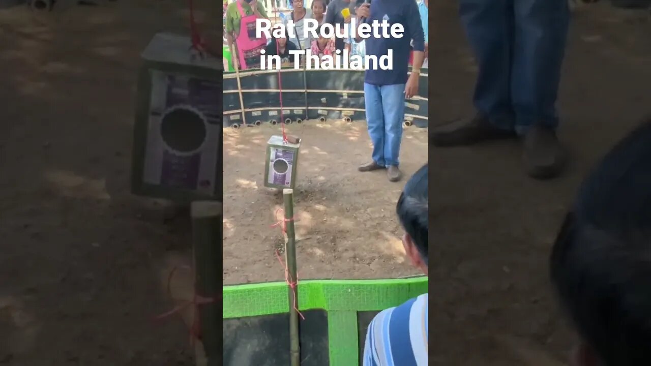 Rat Roulette Charity Fundraiser works kinda like a raffle if a rat picked the numbers.
