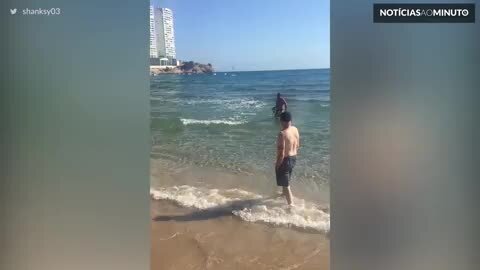 Tubarão nada em uma praia cheia de turistas em Benidorm