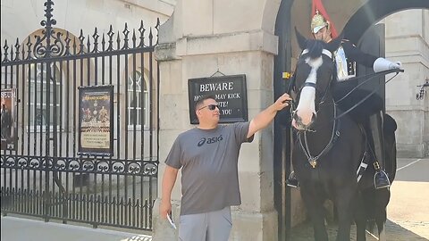 Pulling the bit on the horse's mouth guard not allowed to shout at tourist #horseguardsparade