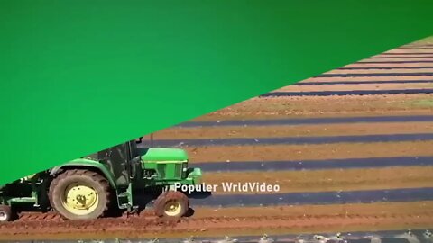 This is how China produces 100 million watermelons Watermelon production 1