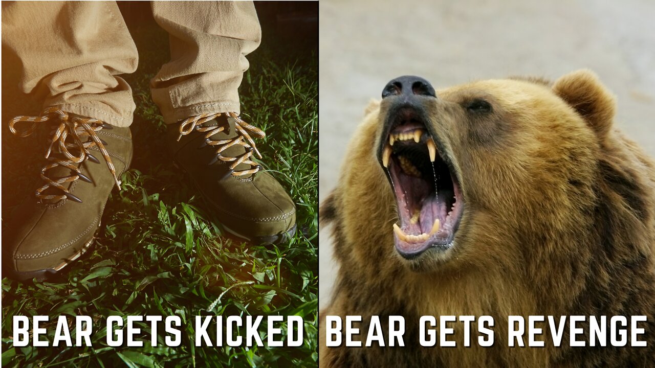 Bold Man Kicks A Bear and then Quickly Realizes It Was A Dumb Decision.