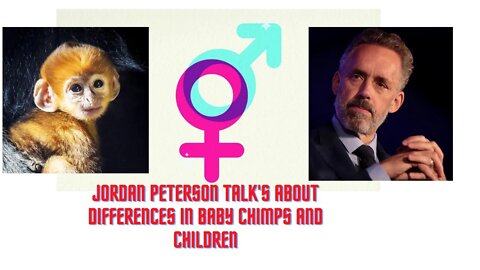 JORDAN PETERSON TALKS ABOUT THE DIFFERENCES BETWEEN BABY CHIMPS AND CHILDREN