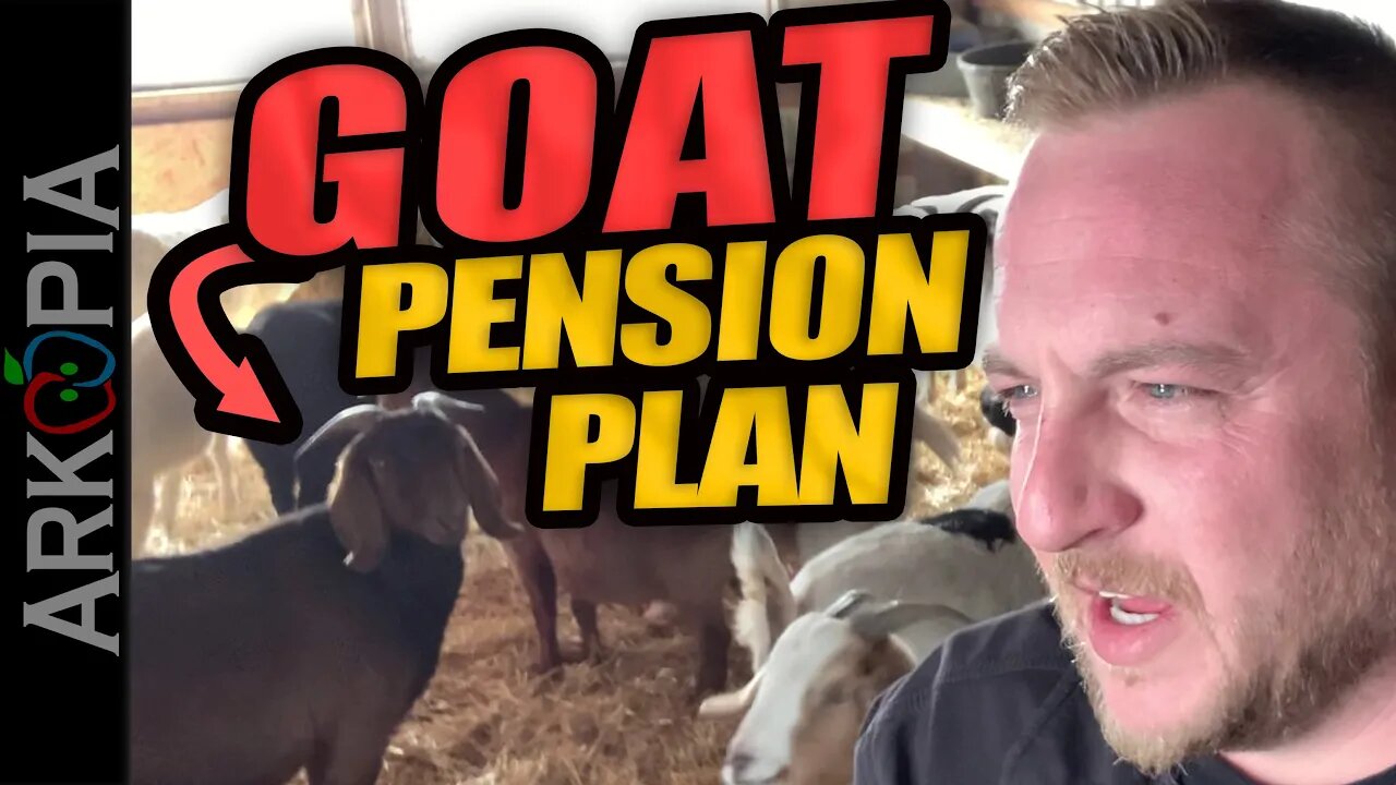 G.O.A.T. Pension Plan - Better than Canada Pension Planš„“ - Greatest Of All Time - Outside the box.