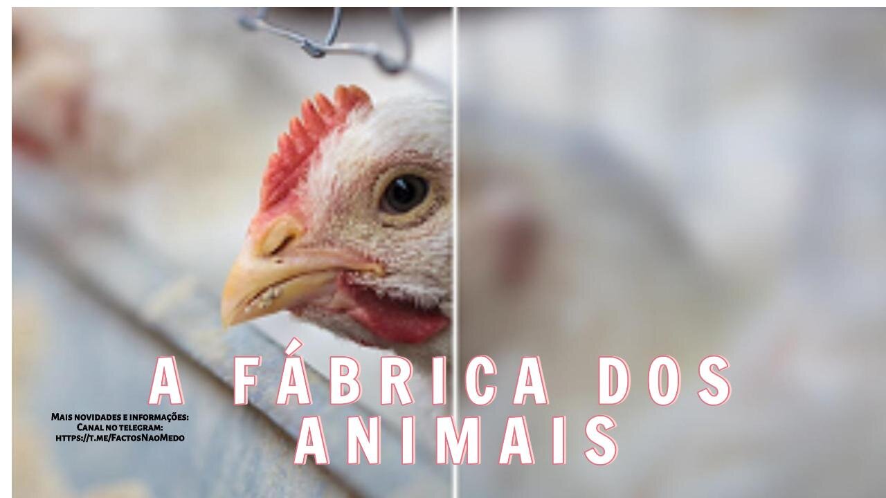 🎬💥A FÁBRICA DOS ANIMAIS - The Cost of Meat (DOC) (2023)💥🎬