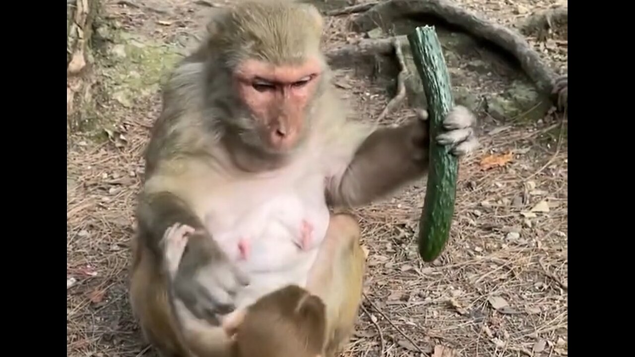 عجب نامردیه