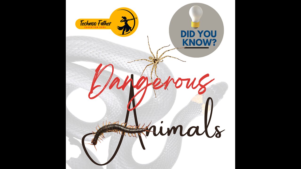 100 Most Dangerous Animals in The World