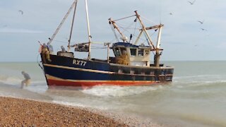 Hastings Fishing Fleet