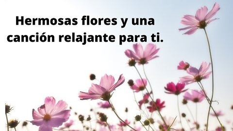 Hermosas flores y una canción relajante para ti.