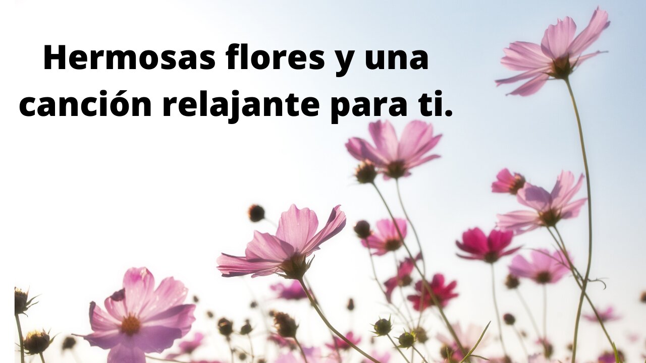 Hermosas flores y una canción relajante para ti.
