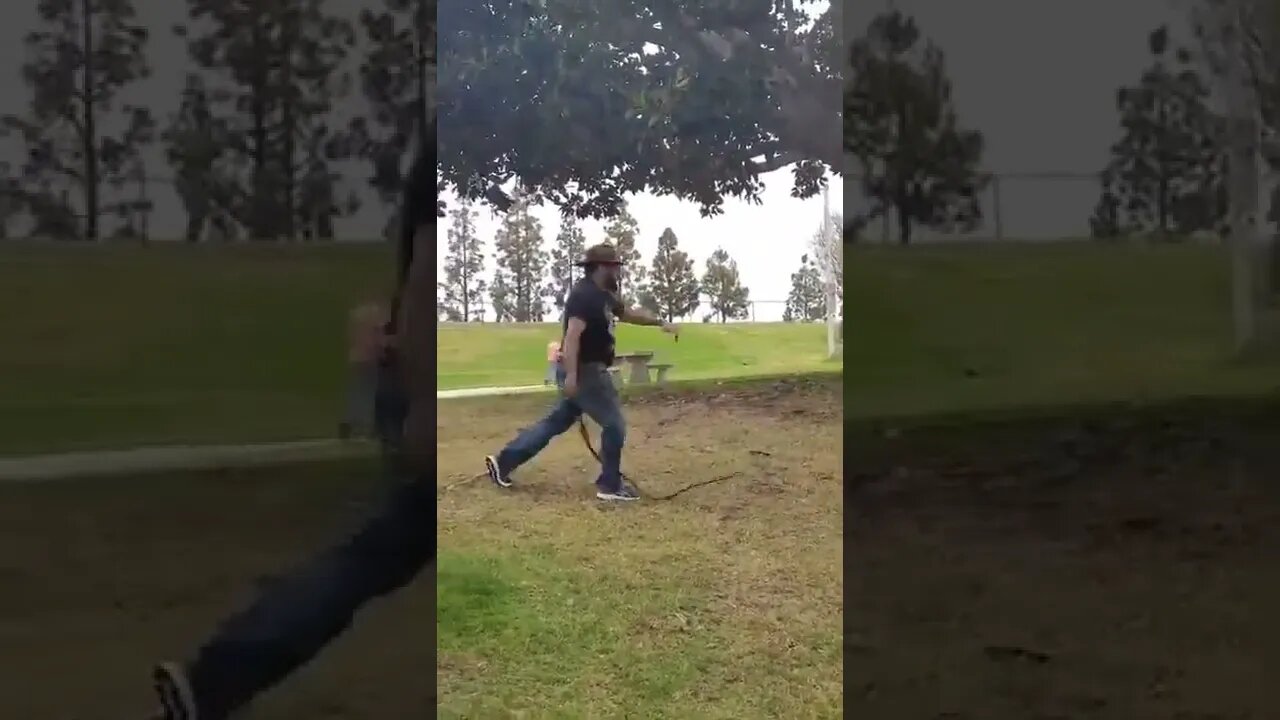 San Miguel whip movement