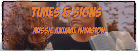 AUSSIE ANIMAL INVASION