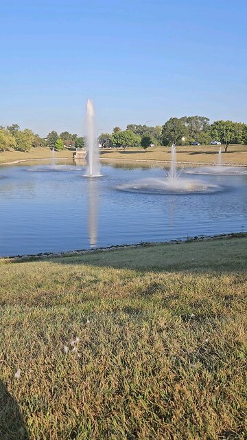 My Peaceful Place - Assassination Syncronicities