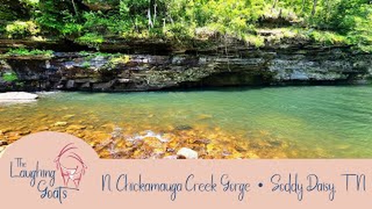 Soddy Daisy - 2024 Take a Mini-Wellness Retreat at this Blue Hole - Travel Tennessee