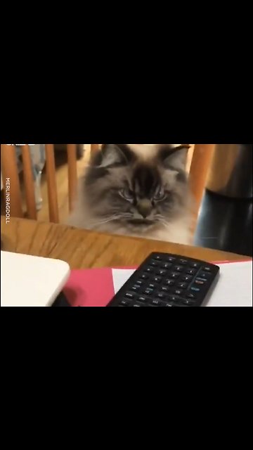 When you've been at work for a whole hour and still aren't a millionaire 😡