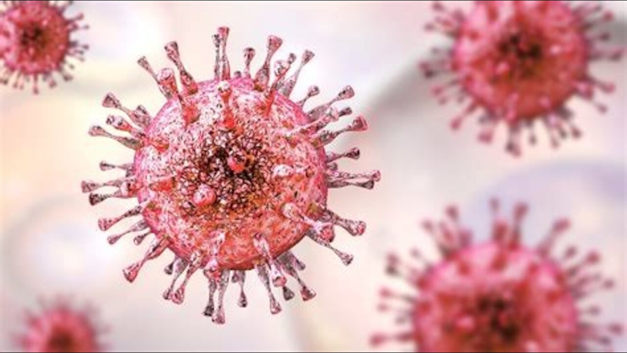 What is a Virus? The Covid Version