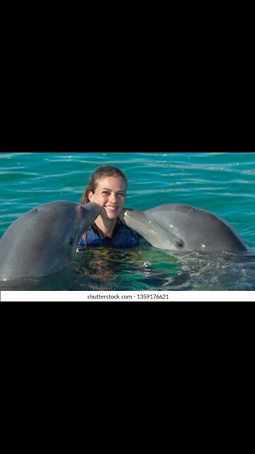 Dolphin 🐬🐬 kiss 😘😘 video // please watch video