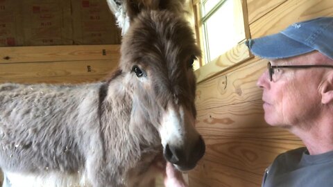 "Sittin' with my donkey today - Watchin' the time roll away (Music Video)