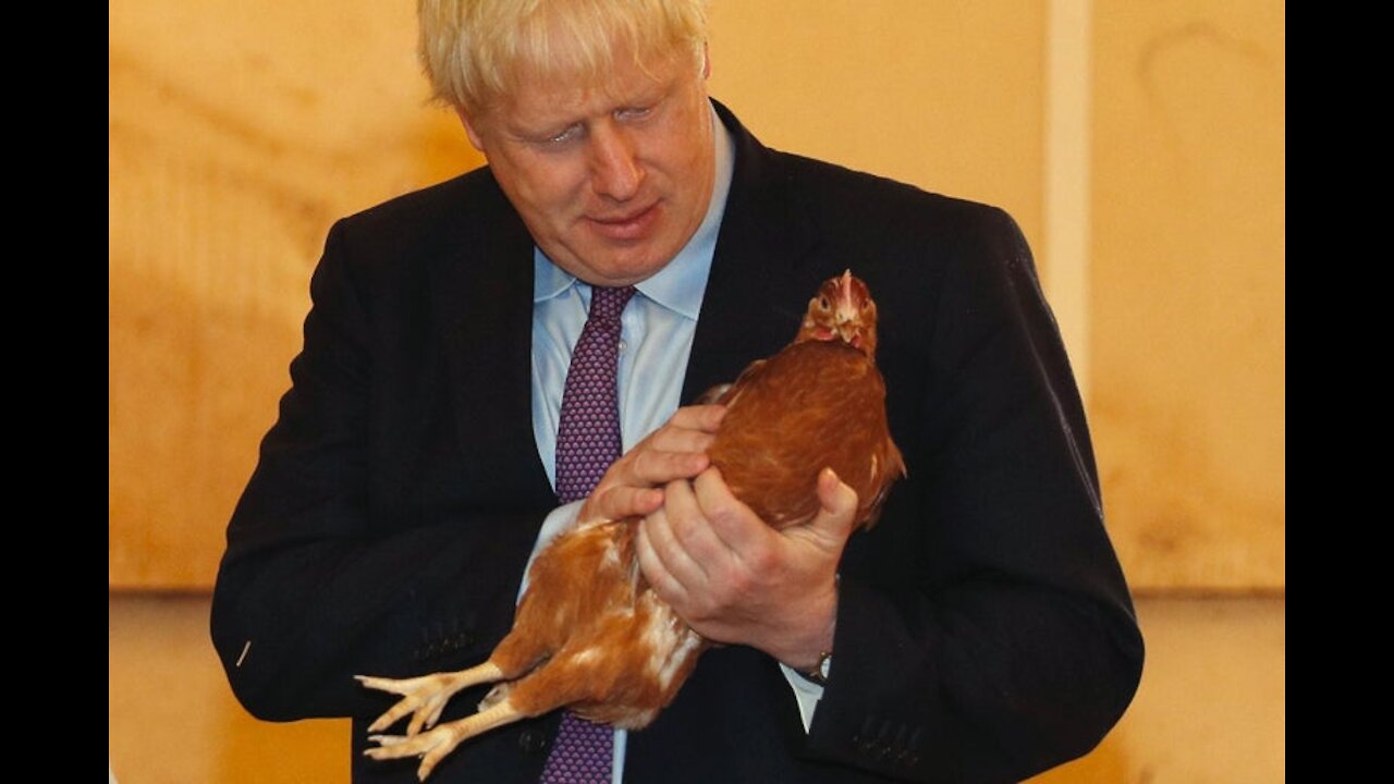 BoJo: "We could feed humans to animals"