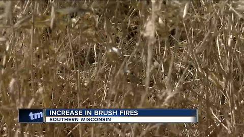 Lack of snow leads to increase in Southern WI brush fires