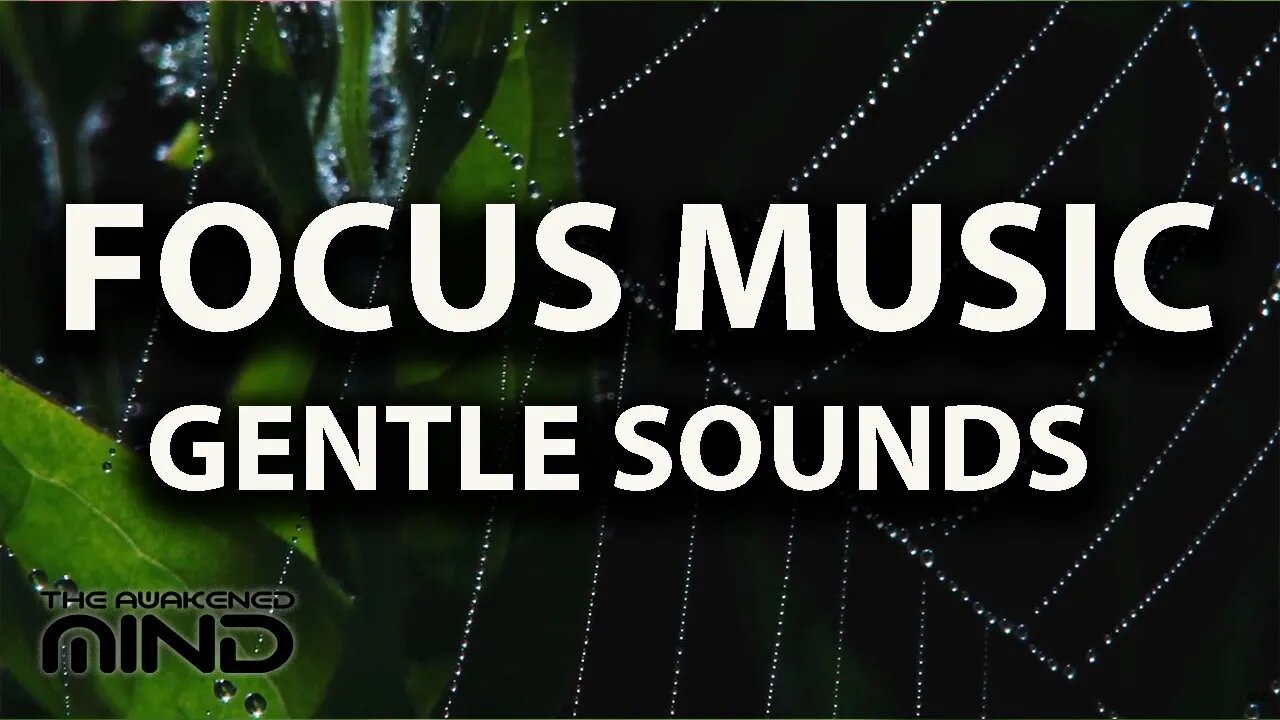 Ambient Focus Music for Learning With Gentle Rainfall & Music