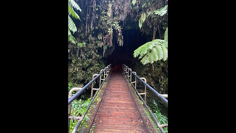 NCL Pride of America, Hawaii: Day 6, Hilo, Big Island, Volcanoes National Park #NCLPrideofAmerica