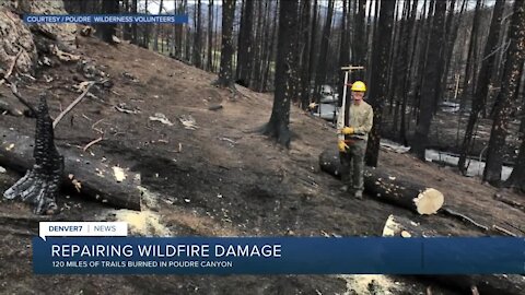 Repairing wildfire damage in Poudre Canyon