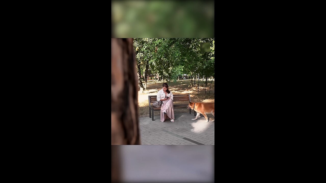 🐕 Dog Started Barking at the Woman! 🐾💥 #short