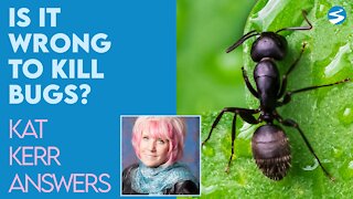 Kat Kerr Is It Wrong to Kill Bugs? | March 31 2021