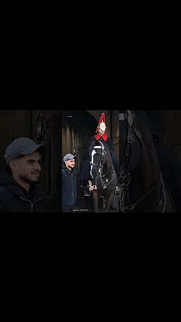 Don't touch the Reins #horseguardsparade