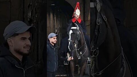 Don't touch the Reins #horseguardsparade