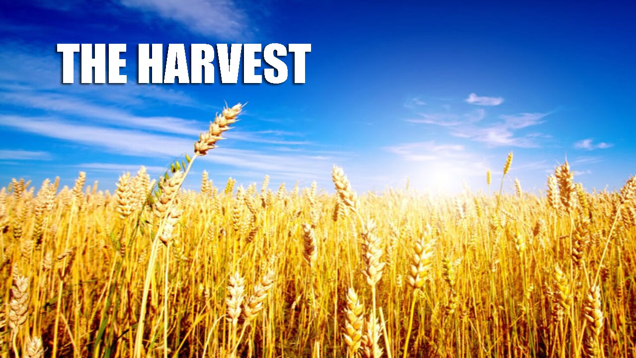 The Harvest