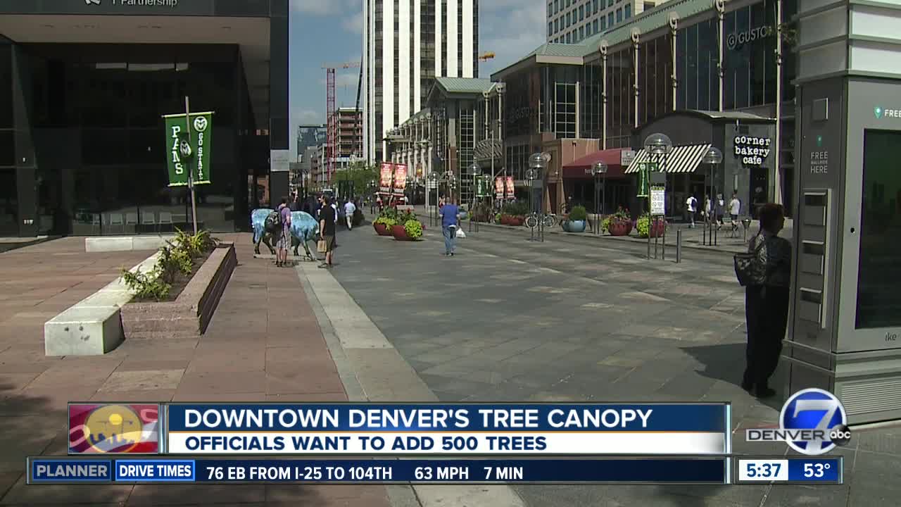 Trying to improve downtown Denver's tree canopy