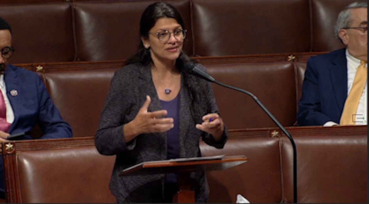 Rashida Tlaib believe that many people want to delete American history